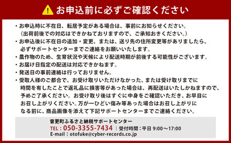 北海道十勝産ながいも 6本セット【A51】