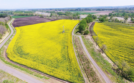 とかちの畑の特選なたね油 特大3本セット【C61】