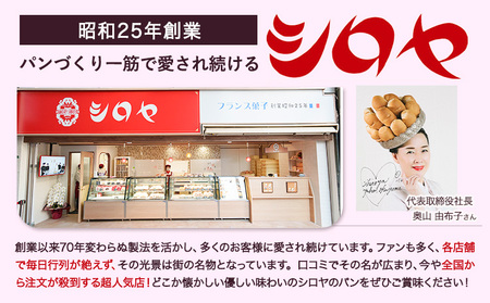 TVで紹介されました！ パン 冷凍パン シロヤ オムレット サニーパン ベストセラーセット サニーパン 17個 (個包装) オムレット 10個 (5個×2パック) 冷凍 シロヤ 《90日以内に出荷予定(土日祝除く)》 マツコの知らない世界