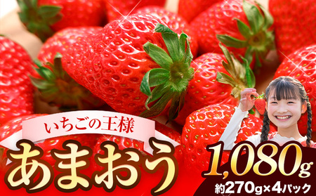 ★2025年出荷分★【先行予約】福岡の名産いちご あまおう 1080g【着日指定不可】《3月中旬-4月末頃出荷予定》