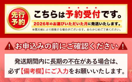 ★2026年出荷★【先行予約】福岡の名産いちご あまおう 1080g【着日指定不可】《2月中旬-4月末頃出荷》 大人気あまおう 贅沢あまおう