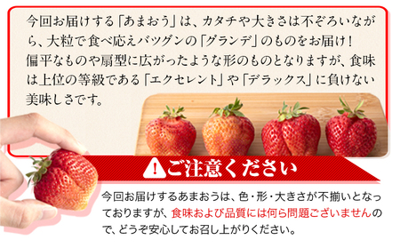 ★2025年出荷分★【先行予約】福岡の名産いちご あまおう 1080g【着日指定不可】《3月中旬-4月末頃出荷予定》