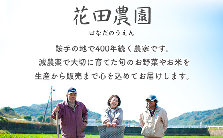 ブロッコリー 花田農園 の ブロッコリー 10個 花田農園 《11月上旬-3月末頃出荷》福岡県 鞍手町 ぶろっこりー 野菜 ブロッコリー 産地直送 送料無料