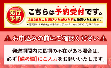 いちご あまおう 先行予約 いちご 大量 540g 選べる発送時期フルーツ《2026年3月上旬-3月末頃出荷》苺 旬 くだもの 果物 福岡県 鞍手町