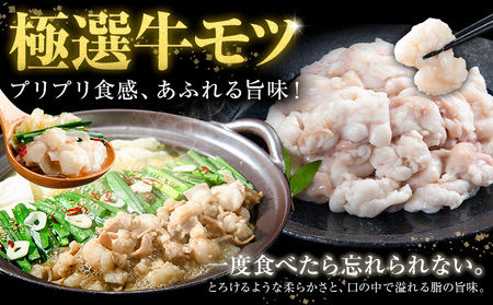 もつ鍋 博多牛もつ鍋 お手軽セット もつ スープ のみ 醤油味 8人前《7-14営業日以内に出荷予定(土日祝除く)》もつ 牛もつ もつ鍋 醤油 しょうゆ 博多 鍋 送料無料 博多 1人前 小分け