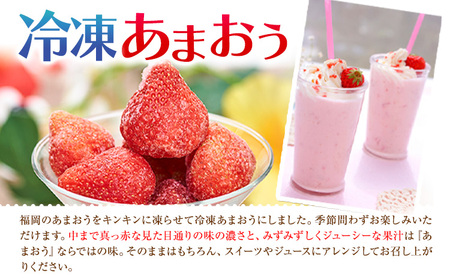 【2026年度出荷】福岡県産 冷凍あまおう1kg(500g×2袋) 南国フルーツ株式会社《12月中旬-3月末頃出荷》【配送不可地域あり】