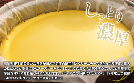 特製チーズケーキ 1ホール プレーン 有限会社東亜商事うどん屋仁《30日以内に出荷予定(土日祝除く)》福岡県 鞍手町 チーズケーキ ケーキ スイーツ 洋菓子 送料無料