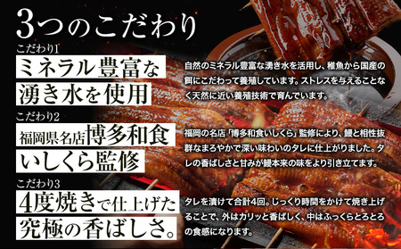 【ふるなび限定】【先行予約】＼福岡県産うなぎ 3月より出荷いたします！／  数量限定 初出荷記念企画 うなぎ 鰻 福岡県産 鰻の蒲焼き 数量限定 3尾 450g 以上《3月上旬-4月末頃出荷予定》福岡県 鞍手町 鰻 蒲焼き うなぎ 蒲焼 うなぎ蒲焼 FN-Limited