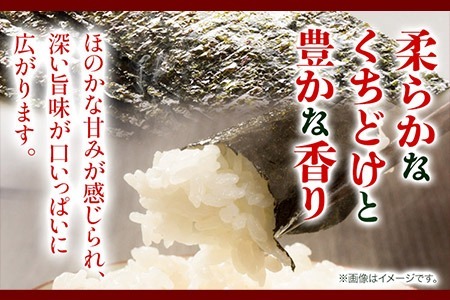有明海産 味のり 味海苔 大丸ボトル 6本 合計480枚 10切80枚 6本セット 送料無料 《30日以内に順次出荷(土日祝除く)》福岡県 鞍手郡 鞍手町 たっぷり 大容量 親和園