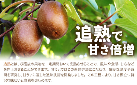 キウイ 甘うぃ 約3kg 南国フルーツ株式会社【26年度出荷】《10月下旬-11月末頃出荷》福岡県 鞍手町 福岡県産 キウイ フルーツ キウイフルーツ 果物