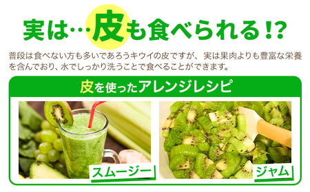 キウイ 甘うぃ 約3kg 南国フルーツ株式会社【26年度出荷】《10月下旬-11月末頃出荷》福岡県 鞍手町 福岡県産 キウイ フルーツ キウイフルーツ 果物