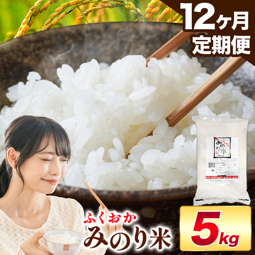 【12ヶ月定期便】 ふくおかみのり米 5kg 白米 《定期便：お申し込みの翌月から出荷》 お米 ごはん ご飯 rice kome