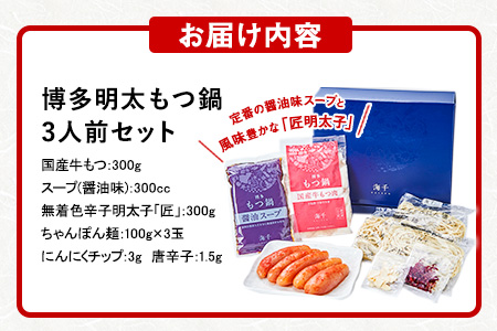 博多明太もつ鍋 3人前セット《30日以内に出荷予定(土日祝除く)》