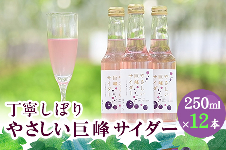 巨峰サイダー 250ml×12本 《30日以内に出荷予定(土日祝除く)》
