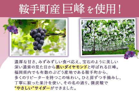 巨峰サイダー 250ml×12本 《30日以内に順次出荷(土日祝除く)》 | 福岡