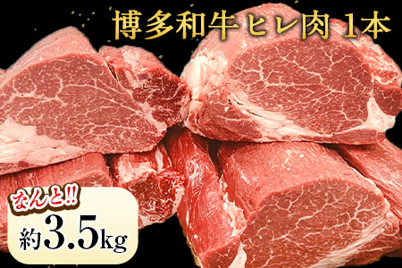 ヒレ肉 まるごと1本 約3.5kg 冷蔵便 株式会社エム・ケイ食品《30日以内に出荷予定(土日祝除く)》