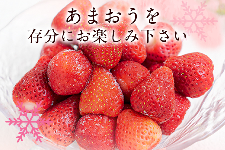 冷凍あまおう 約800g(約200g×4袋) 送料無料《5月中旬-6月中旬より出荷