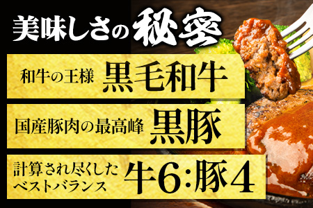 黒毛和牛×黒豚使用！九州うまれの特製手ごねハンバーグ 120g×6個 計720g《30日以内に出荷予定(土日祝除く)》生ハンバーグ 一つずつ個包装 MK エム・ケイ食品