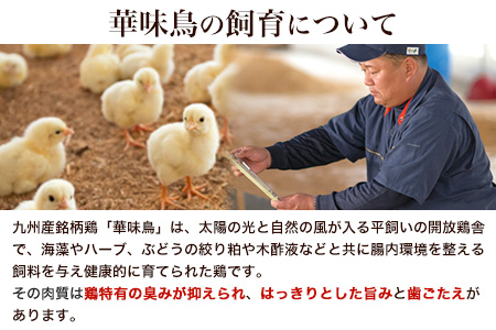 ふるさと納税 博多華味鳥 水たきセット 3～4人前RHS-906 北九とり善