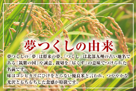 令和4年産 福岡県産 夢つくし 無洗米 15kg 5kg×3袋 株式会社オカベイ