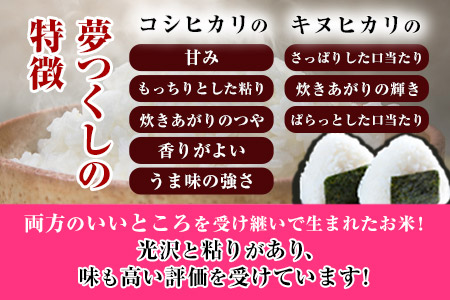 令和4年産 福岡県産 夢つくし 無洗米 15kg 5kg×3袋 株式会社オカベイ