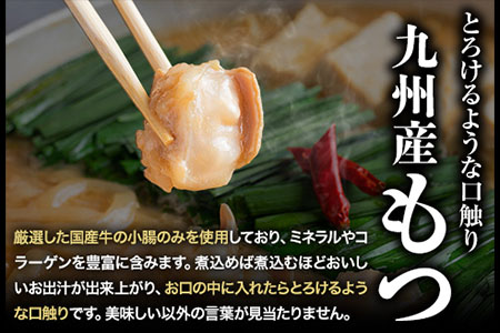 いろはのもつ鍋セット 2~3人前 株式会社いろは《30日以内に出荷予定(土日祝除く)》福岡県 あごだし 味噌 九州産 牛小腸 もつ 鍋 うどん