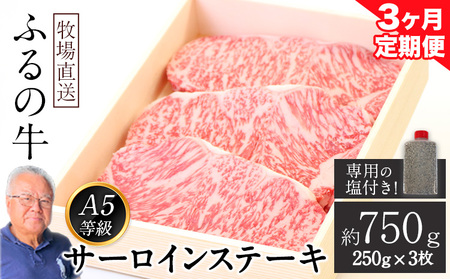 【3ヶ月定期便】ふるの牛（黒毛和牛）特選サーロインステーキ 750g(250g×3枚) ゲランド塩付き A5 有限会社ふるの《お申込み月の翌月から出荷開始》 福岡県 鞍手郡 鞍手町 3回お届け 計3回 定期便 2kg以上