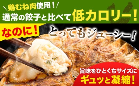 博多ひとくち鶏餃子 135個(45個×3袋) 株式会社フォーユー《30日以内に出荷予定(土日祝除く)》福岡県 鞍手郡 鞍手町 ぎょうざ 餃子 ひとくち餃子 一口餃子 博多 はかた一番どり 大容量 送料無料