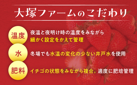 【先行予約】【12月中旬以降発送】大塚ファームのいちご 「恋みのり」230g×4パック 桂川町/大塚ファーム[ADAB001] イチゴ 苺 甘い恋みのり あまい苺 果物 いちご 先行予約フルーツ 人気苺 福岡県産いちご 九州いちご  