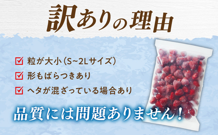 訳あり品 【濃厚な味わい！】冷凍 いちご 「 博多 あまおう 」 1kg （ 加工用 ） 桂川町/株式会社やまやコミュニケーションズ[ADAN005] 訳アリ 訳あり 冷凍イチゴ 冷凍苺 冷凍あまおう 福岡 博多 おすすめ 冷凍いちご  