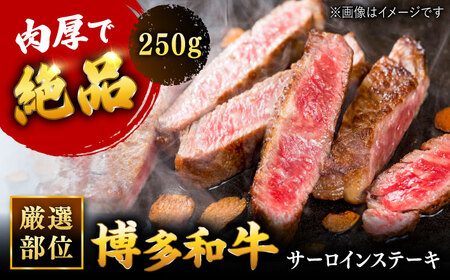 博多和牛 サーロイン ステーキ 250g [250g×1枚]  [ADAQ004] ステーキ 黒毛和牛 11,100円