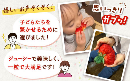 超大玉 あまおう 約320g×2 [ADAT001] あまおう