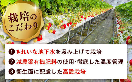 超大玉 あまおう 約320g×2 [ADAT001] あまおう