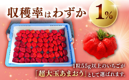 超大玉 あまおう 約320g×2 [ADAT001] あまおう