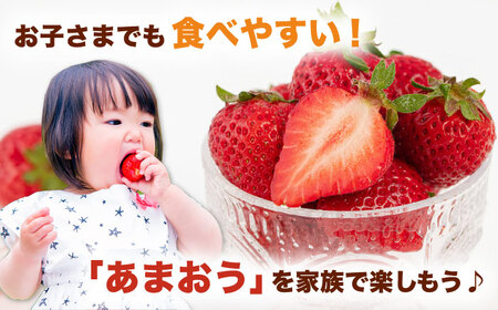 あまおうLサイズ 約320g×2P [ADAT003] あまおう