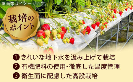 あまおうLサイズ 約320g×2P [ADAT003] あまおう