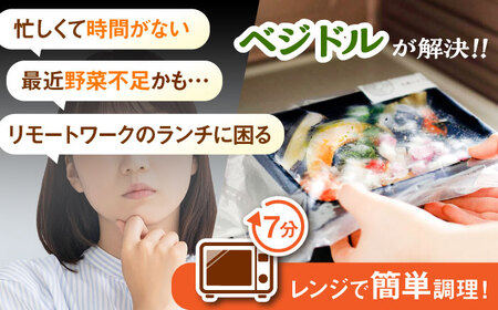 【お歳暮対象】【レンジで簡単】【国産野菜12種】新感覚ヌードル「ベジドル」4食セット 桂川町/有限会社フーデスト [ADBJ001] ラーメン ラーメン ラーメン ラーメン ラーメン