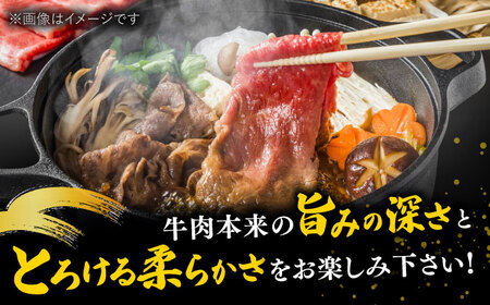 【全12回定期便】博多和牛 切り落とし 500g×2P [ADAQ016]  牛肉 切り落とし 定期便