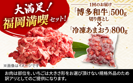 【全6回定期便】【訳あり】博多和牛 切り落とし ＆ あまおう セット1.3kg 桂川町/株式会社 MEAT PLUS [ADAQ070] 訳あり 定期便国産 牛肉 和牛 牛切り落とし イチゴ いちご