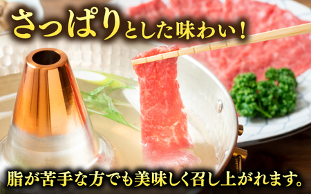 【訳あり！】A4ランク以上！博多和牛 赤身（肩・モモ）霜降り しゃぶしゃぶすき焼き用 600g 桂川町/株式会社 MEAT PLUS [ADAQ097] 10000 赤身 もも しゃぶしゃぶ  和牛 牛肉 A4 A5