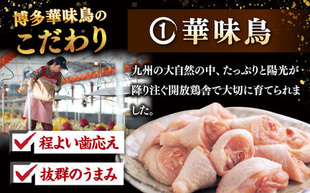 【全12回定期便】博多華味鳥 水炊き セット 6-8人前 （ぽん酢・柚子胡椒付）桂川町/トリゼンフーズ [ADBN012] 鶏 鍋 鍋セット お鍋 ちゃんぽん 6人前 8人前 定期便