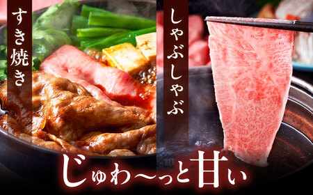 【全12回定期便】A4ランク以上 博多和牛 肩ロース薄切り 500g [ADBM138] 牛肉定期便 