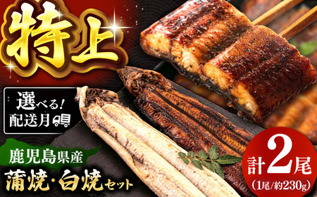 鹿児島産 うなぎ 2尾 蒲焼・白焼 食べ比べ セット 特製秘伝のタレ付き！ 桂川町/山水商事 [ADAH007] うなぎ 蒲焼き 白焼き セット 九州