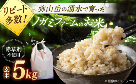 【新米 令和7年産】 玄米 5kg [ADAU009] 玄米 米