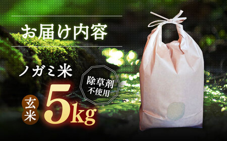 【新米 令和7年産】 玄米 5kg [ADAU009] 玄米 米