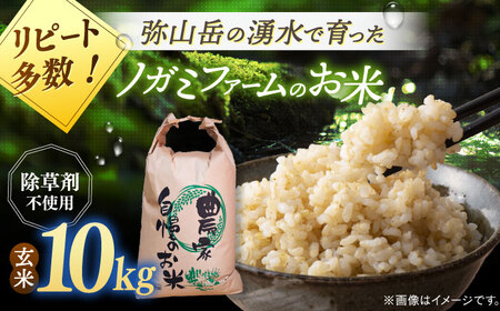 新米 玄米 10kg ノガミファーム [ADAU010] 玄米