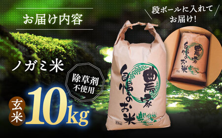 新米 玄米 10kg ノガミファーム [ADAU010] 玄米