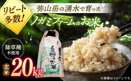 【新米 令和7年産】弥山岳の岩清水で育ったノガミファームの お米 玄米 20kg 桂川町/NOGAMI FARM [ADAU012] 玄米 米 コメ お米 20kg 農家 直送 