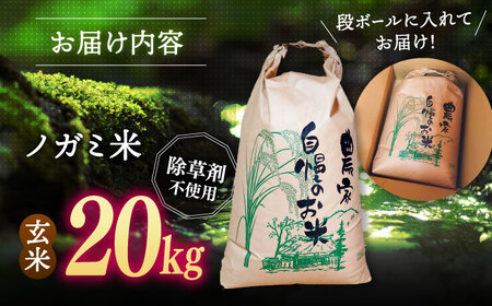 【新米 令和7年産】弥山岳の岩清水で育ったノガミファームの お米 玄米 20kg 桂川町/NOGAMI FARM [ADAU012] 玄米 米 コメ お米 20kg 農家 直送 