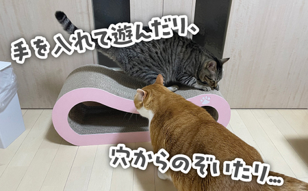 【全5色から選べる！】 猫の爪とぎ トンネル 桂川町 [ADBC003] ねこ ペット ねこ 爪研ぎ 猫 ねこ ネコ